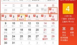 蘑菇爆料最新消息,最新热点事件深度解析