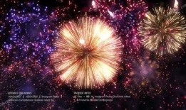 烟火官方爆料视频大全最新,精彩瞬间尽收眼底