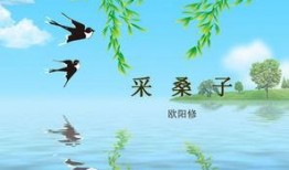 天涯爆料燕子最新一期,燕子最新一期揭秘惊人内幕