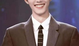 肖战华晨宇最新爆料,揭秘娱乐圈背后的惊人真相