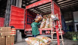 长沙新农人最新爆料,农业现代化新动向与乡村振兴新篇章