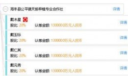 公平镇最新爆料信息网,揭秘幕后真相，一探究竟