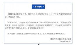 重庆冯先生最新爆料,揭秘某神秘事件背后真相